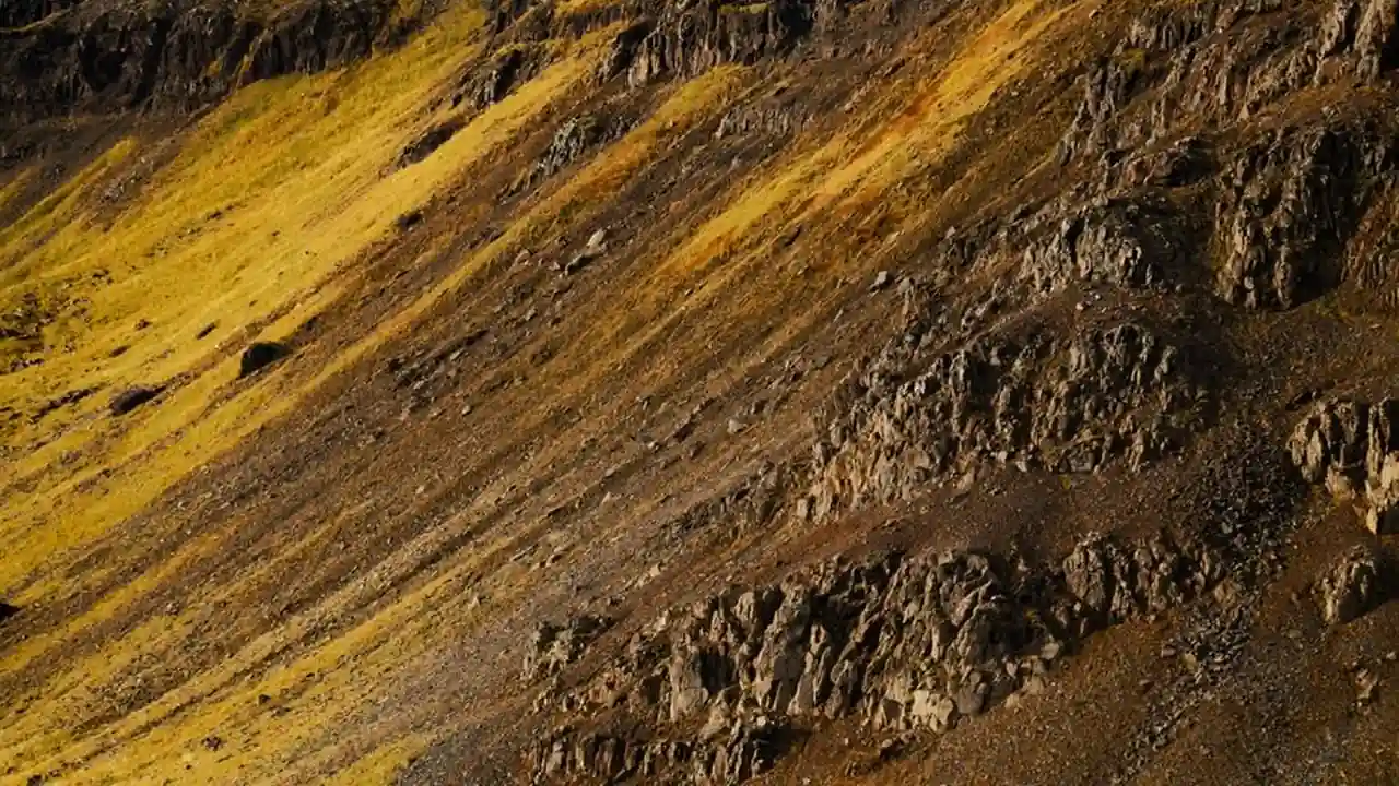 爱液里的秘密探索人体自然润滑的奥秘